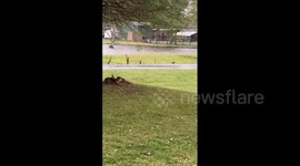 US: Marble To Golf Ball-Sized Hail Pelts Ingomar, MS