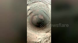 Elephant rescued from narrow 15-feet-deep well in eastern India
