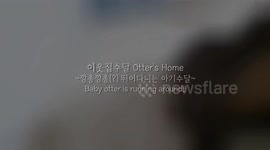 a hopping baby, baby animal, at home, 깡충깡충 뛰는 아기 수달 영상, 1인칭 집사 시점