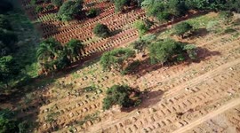 Aerial view of the Cemetery São Luiz in São Paulo, Brazil