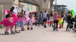 Roller Skating Animals Off Leash at the Beach - San Diego CA