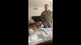 'Cute Husky isn't a Fan of his Owner's Husband Expressing Love to his Wife'