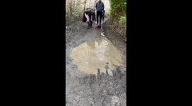 Adorable pup is carried over puddle whilst doggy paddling in the air