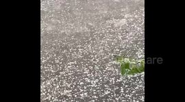 Florida pelted by pea-sized hail