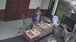 Sneaky golden retriever steals cream bun from dining table during Chinese New Year