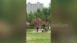 Chinese tourists shake trees to create cherry blossom ‘rain’ for pictures