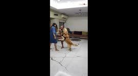 Jealous dog does not want owner to cuddle his pregnant wife