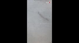 'Skater Does Frontside 50/50... and Falls Flat on his Face'