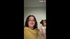 'Puppy gets Furious When She Sees herself in the Mirror'