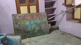RECOVERED AN INDIAN RAT SNAKE (PTYAS MUCOSA) WHILE HOUSE CLEANING. Video recorded at Tamil Nadu, South India.