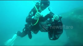 Underwater footage shows used masks are a new threat to aquatic life