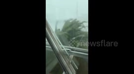 Severe storm brings ferocious winds and rain to Louisiana