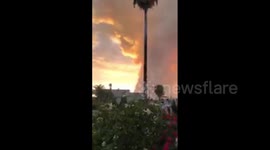Mexico issues atmospheric alert following massive smoke from forest fire