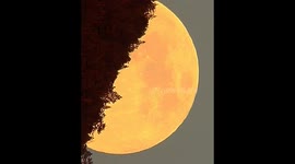 Plane crossing the full moon