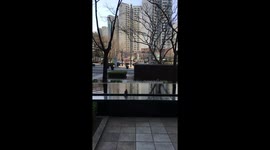 A small artificial pond in Sangam-dong, Mapo-gu, Seoul, Republic of Korea. Sparrows are taking a rest in a bath.