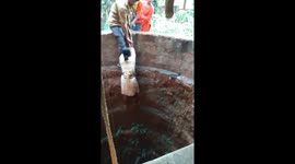 Watch - More video - Thousand claps to this brave lady who went 50 feet deep into well to rescue the dog fallen for 16 hours