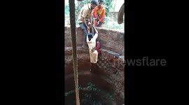 Brave woman lowered into 50-feet-deep well to rescue stranded dog in India