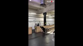 Risky BMX stunt goes wrong as Polish rider loses balance and crashes face first