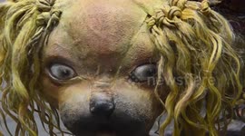 Exhibition of dolls worth several million Russian rubles