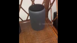 Alexa gives amusing response when asked about hit TV show 'Line of Duty'