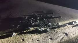 Sea turtle hatchlings under water in south india