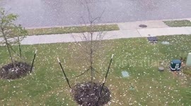 Huge hailstones batter Texas as thunderstorm warnings issued