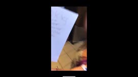 Learning the Spell is HARD!! HILARIOUS Video of Daughter’s Misspelling