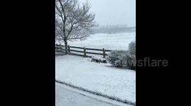 US: Unseasonal Winter Storm Brings April Snow To Denver Metropolitan Area 3