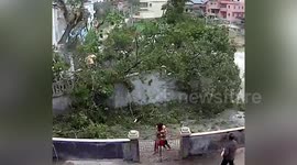 Quick-thinking grandmother moves granddaughter away from falling tree in southern China