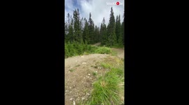 'Biker Masters the Insane Art of Backflipping '
