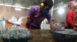 Indonesia residents earn money by processing heaps of plastic waste