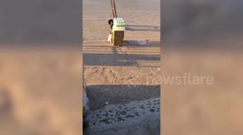 Cat sunbathes next to drinks boxes during cool weather in Thailand