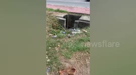 Kind lorry driver uses his sacred Islamic prayer cloth to rescue goat trapped in canal