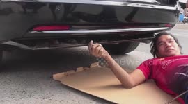 Three stray kittens rescued after being found trapped in car’s rear bumper