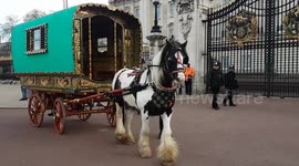 Man with horse and carriage pays tribute to Prince Philip at Buckingham Palace on day of funeral