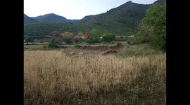 FINALLY RAIN WATER WAS STORED, AFTER RAIN BEAUTIFUL SCENE OF BIRDS SINGING,LOVING SEEN AND NATURAL BEAUTY