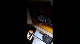 Evacuation of pythons hiding under the bed of a resident's house in Jakarta, Indonesia