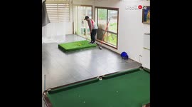 'Australian Man Nails Unbelievable Snooker Trick Shot '