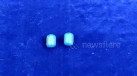 Customs officials seize gold worth $44,623 from airport in southern India