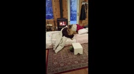 German shepherd howls when fire alarm goes off