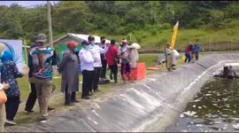 First harvest of vaname shrimp with the Ministry of Marine Affairs and Fisheries in West Java, Indonesia