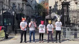Fox masked campaigners submit 1 million signatures to No 10