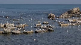 Winter seas swarm and howling in warm rocks, avoiding the cold