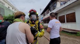 Four cats rescued from burning house in Thailand