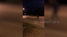 Kindhearted driver helps pregnant snake cross road