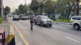 Kind policeman stops car to help dogs cross busy road