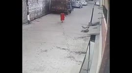 CCTV captures moment girl survives attack by pack of stray dogs in northern India