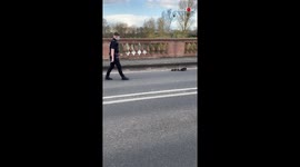 UK police officers help ducklings cross bridge safely in Windsor