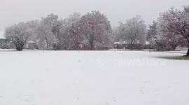 US: Heavy Late-April Snow Falls In Arkansas