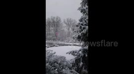 US: Heavy Late-April Snow Falls In Ohio
